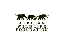 African Wildlife Foundation logo