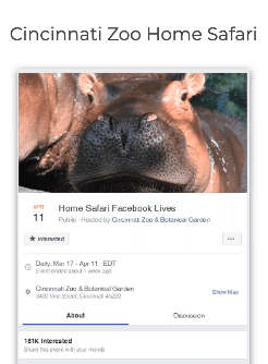 COVID nonprofit activites Zoo