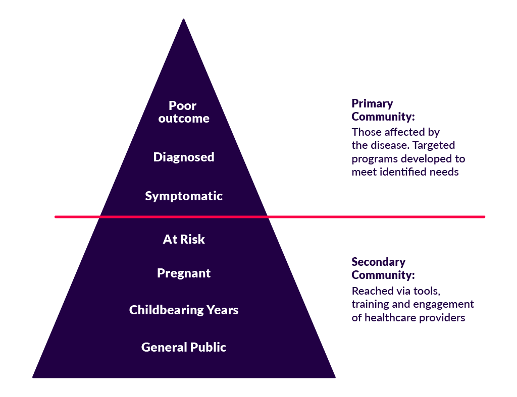 Pyramid that is divided into two sections, "Primary audience" on top and "Secondary audience on bottom." Primary audience is sub-divided into levels, which are labeled from top to bottom: Poor outcome, Diagnosed, Symptomatic, At Risk. Secondary audience is also sub-divided into levels, which are labeled from top to bottom: Pregnant, Childbearing Years, General Public.