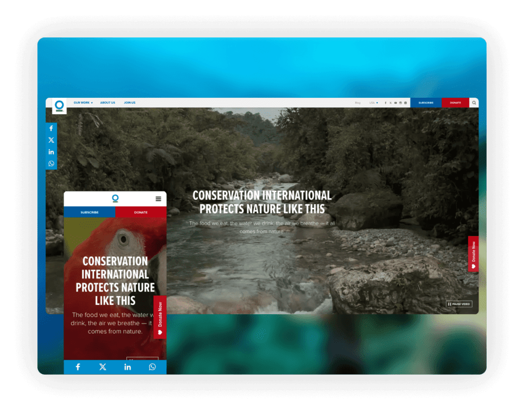 Web Design for Nonprofits - Conservation International