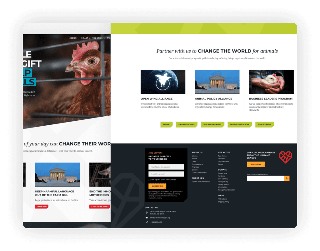Web Design for Nonprofits - The Humane League
