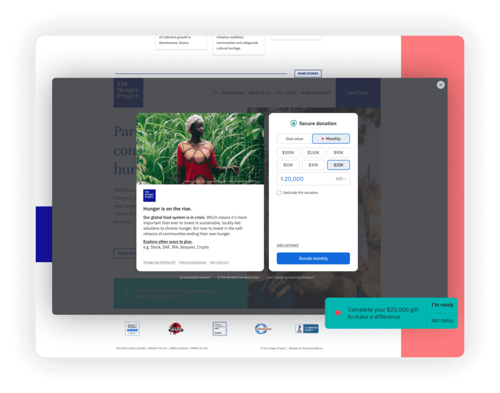 Website Design for Nonprofits - The Hunger's Project
